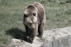 Killikus&reg; Fotographie